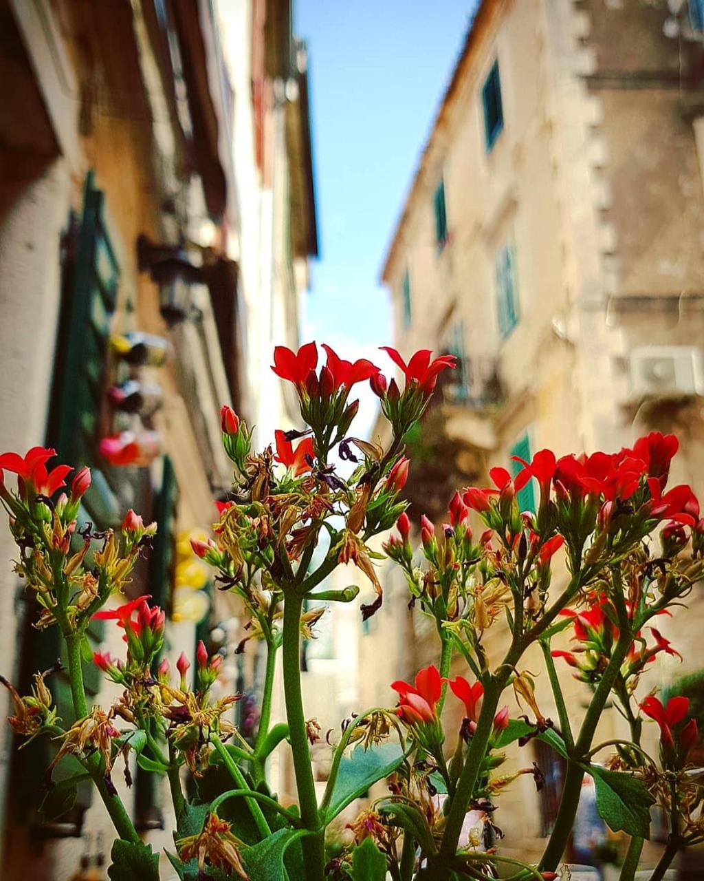 Kotor Bagus - Cozy Boutique Old Town Studio With Seaview Terrace 외부 사진